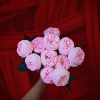 Creme Dozen Peony Rosette