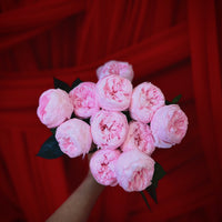 Creme Dozen Peony Rosette