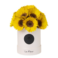 Sunflower Super Petit Dome