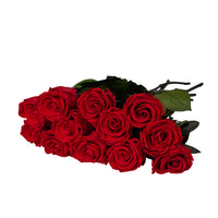 Dozen Long Stems Roses