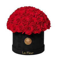 BLACK FRIDAY SPECIAL: Dome La Fleur