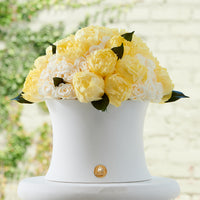 Grande Creme Peony + Rose Dôme