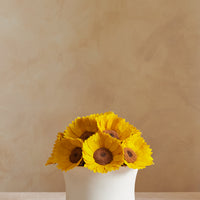 Grande Creme Sunflower