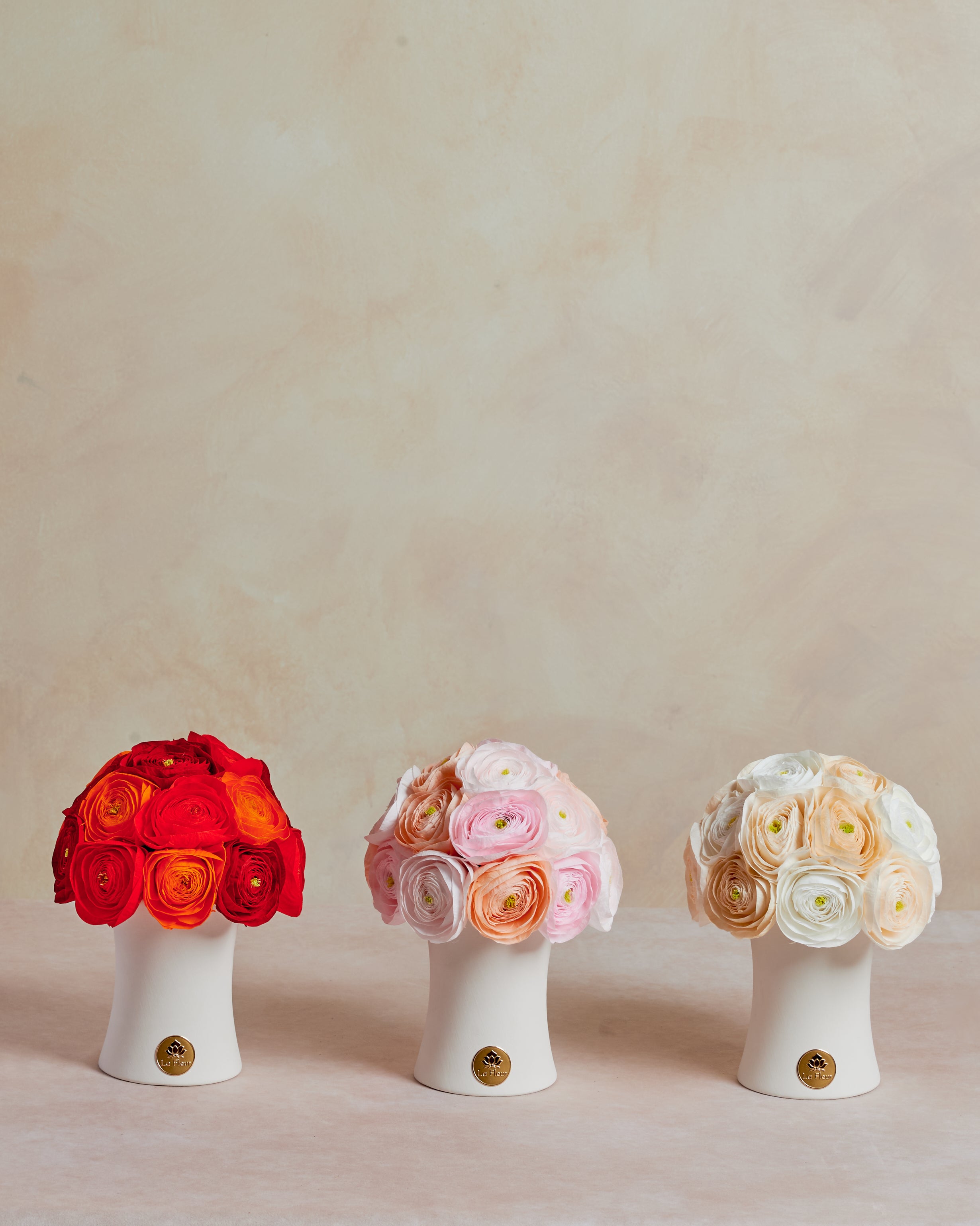 Reb'l Fleurページ LF202447652.jpg?v=1728110545