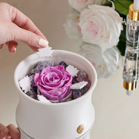 Amethyst Crystal Diffuser