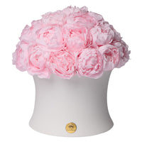 Grande Creme Peony