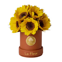 Mini Sunflower Dôme