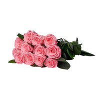 Dozen Long Stems Roses by La Fleur Lifetime Flowers