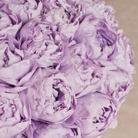 Peony Bowl by La Fleur Lifetime Flowers