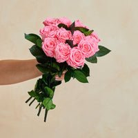 Dozen Long Stems Roses by La Fleur Lifetime Flowers