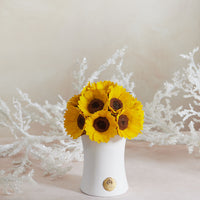 Creme Sunflower Dôme by La Fleur Lifetime Flowers