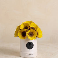 Sunflower Super Petit Dome