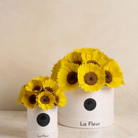 Sunflower Super Petit Dome