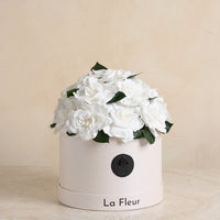 Gardenia Dôme