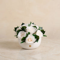 Jolie Grande - Rose