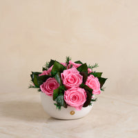 Jolie Grande - Rose