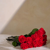 Dozen Long Stems Roses