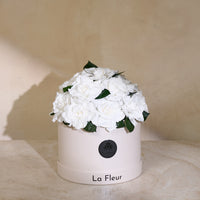 Gardenia Dôme