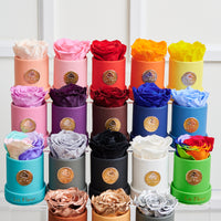 Leather Mini by La Fleur Lifetime Flowers