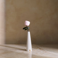 Peony Rosette Single Stem