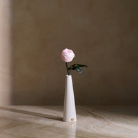 Peony Rosette Single Stem