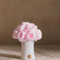 Creme Peony Rosette Dôme
