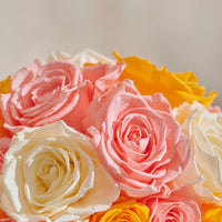Creme Roses Dôme