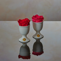 Creme Mini by La Fleur Lifetime Flowers