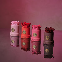 Leather Mini by La Fleur Lifetime Flowers