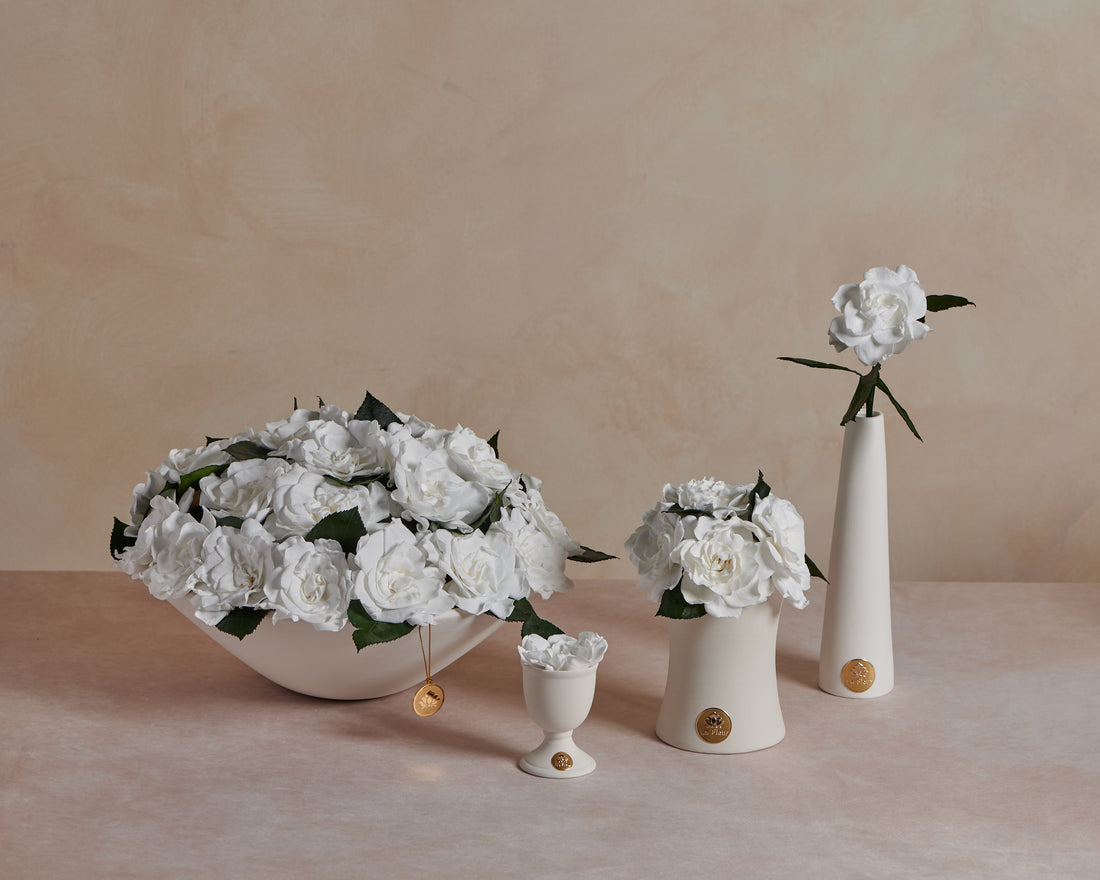 Creme Gardenia Dôme by La Fleur Lifetime Flowers