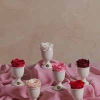 Creme Mini by La Fleur Lifetime Flowers