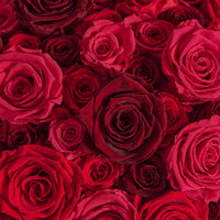 Grandiose Roses by La Fleur Lifetime Flowers