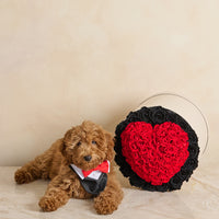 The Heart Beat Box