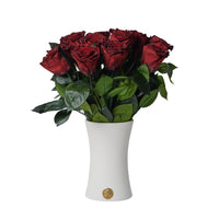 Creme Dozen Long Stems by La Fleur Lifetime Flowers