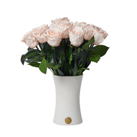 Creme Dozen Long Stems by La Fleur Lifetime Flowers