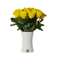 Creme Dozen Long Stems by La Fleur Lifetime Flowers