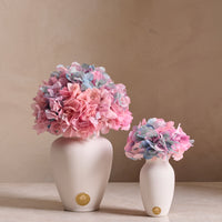 Creme Hydrangea Mini