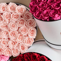 BLACK FRIDAY SPECIAL: Grande Round