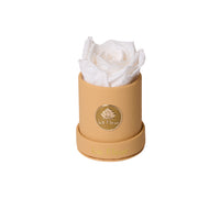 BLACK FRIDAY SPECIAL: Leather Mini