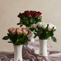 Creme Dozen Long Stems by La Fleur Lifetime Flowers