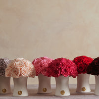 Creme Petite Dôme by La Fleur Lifetime Flowers