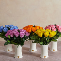 Creme Dozen Long Stems by La Fleur Lifetime Flowers