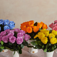 Creme Dozen Long Stems by La Fleur Lifetime Flowers