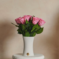 Creme Dozen Long Stems by La Fleur Lifetime Flowers