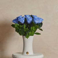 Creme Dozen Long Stems by La Fleur Lifetime Flowers