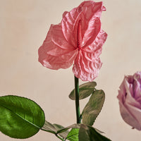 Birth Month Collection - November by La Fleur Lifetime Flowers