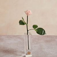 Birth Month Collection - January by La Fleur Lifetime Flowers