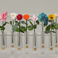 Birth Month Collection - August by La Fleur Lifetime Flowers