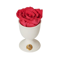 Creme Mini by La Fleur Lifetime Flowers