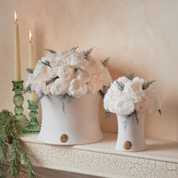 Creme Dome - Starlight